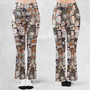 Funny Cat Internet Meme Flare Leggings