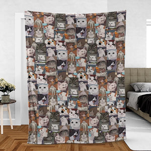 Funny Cat Internet Meme Fleece Blanket
