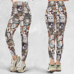 Funny Cat Internet Meme Legging