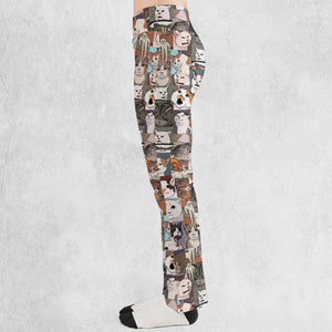 Funny Cat Internet Meme Flare Leggings