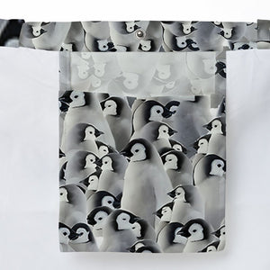 Baby Emperor penguins -  - 3